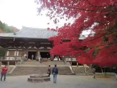 神護寺の本殿・本堂