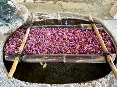 立志神社(滋賀県)