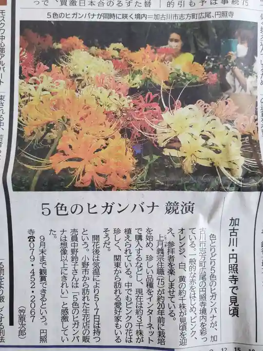 円照寺(兵庫県)