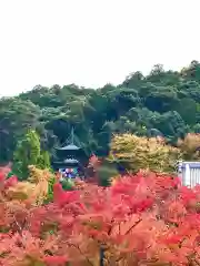 禅林寺（永観堂）(京都府)