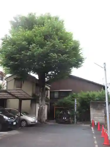 繁昌神社の自然