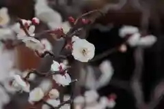 中山寺の自然