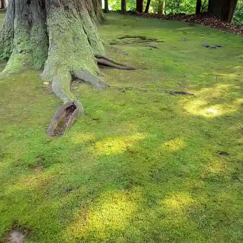 安波賀春日神社(福井県)
