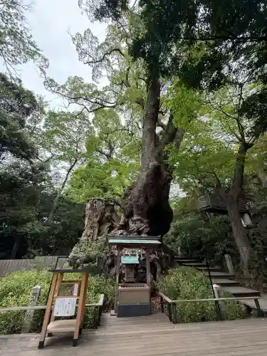 來宮神社の{uncategorized: "未分類", other: "その他", undefined: "問題あり", building: "その他建物", grave: "お墓", sacred_gate: "鳥居", guardian: "狛犬", statue: "像", buddha: "仏像", history: "歴史", nature: "自然", garden: "庭園", animal: "動物", pagoda: "塔", temizu: "手水舎", mountain_gate: "山門・神門", sanctuary: "本殿・本堂", subordinate: "末社・摂社", art: "芸術", scenery: "景色", jizo: "地蔵", ema: "絵馬", goshuin: "御朱印", omikuji: "おみくじ", items: "授与品その他", amulet: "お守り", goshuincho: "御朱印帳", eats: "食事", festival: "お祭り", votive_dance: "神楽", shichigosan: "七五三参", wedding: "結婚式", experience: "体験その他", initially: "初詣", around: "周辺", anti_infection: "感染症対策"}