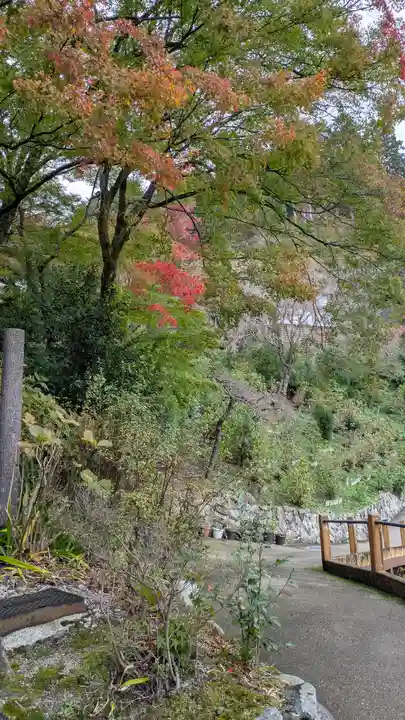 善峯寺(京都府)