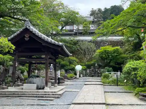 岡寺（龍蓋寺）(奈良県)