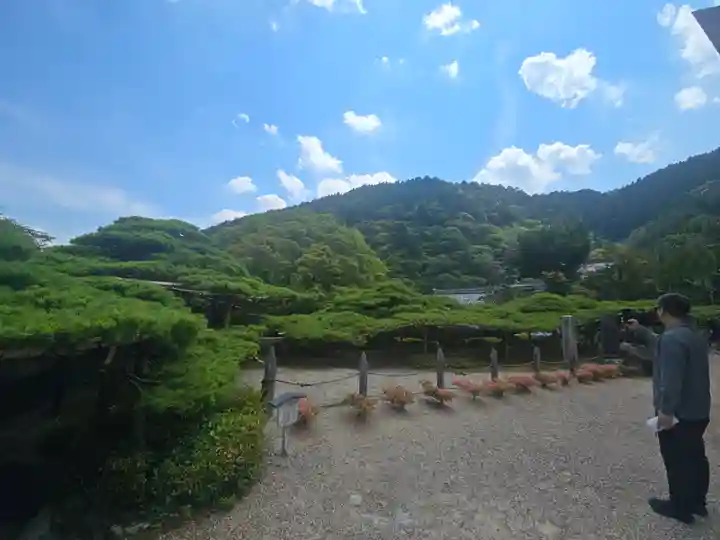 善峯寺(京都府)