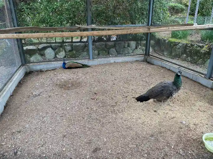 天台宗 五大山 白毫寺(兵庫県)