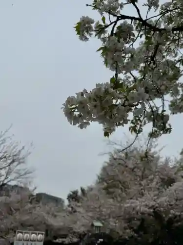靖國神社の{uncategorized: "未分類", other: "その他", undefined: "問題あり", building: "その他建物", grave: "お墓", sacred_gate: "鳥居", guardian: "狛犬", statue: "像", buddha: "仏像", history: "歴史", nature: "自然", garden: "庭園", animal: "動物", pagoda: "塔", temizu: "手水舎", mountain_gate: "山門・神門", sanctuary: "本殿・本堂", subordinate: "末社・摂社", art: "芸術", scenery: "景色", jizo: "地蔵", ema: "絵馬", goshuin: "御朱印", omikuji: "おみくじ", items: "授与品その他", amulet: "お守り", goshuincho: "御朱印帳", eats: "食事", festival: "お祭り", votive_dance: "神楽", shichigosan: "七五三参", wedding: "結婚式", experience: "体験その他", initially: "初詣", around: "周辺", anti_infection: "感染症対策"}
