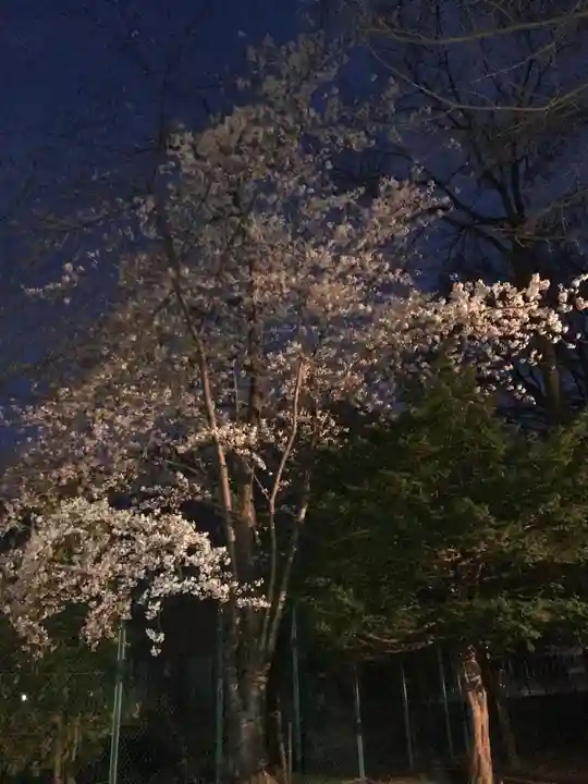 江南神社(北海道)