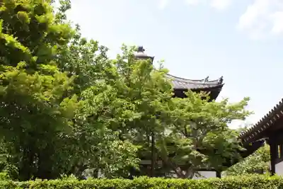 東福禅寺（東福寺）(京都府)