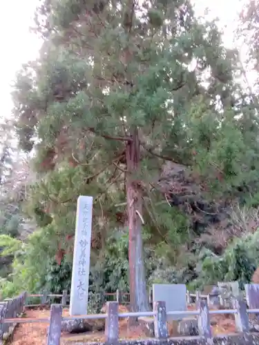 妙義神社の自然