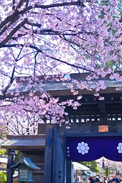 密藏院(埼玉県)