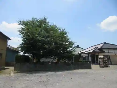 浄光院(栃木県)