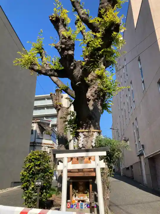 白光大神 (大阪府)