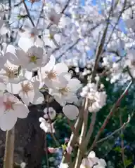 滑川神社 - 仕事と子どもの守り神の自然