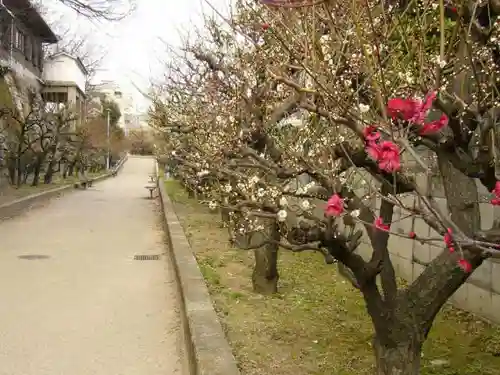 高津宮の建物その他