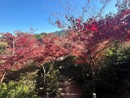 常樂寺(滋賀県)