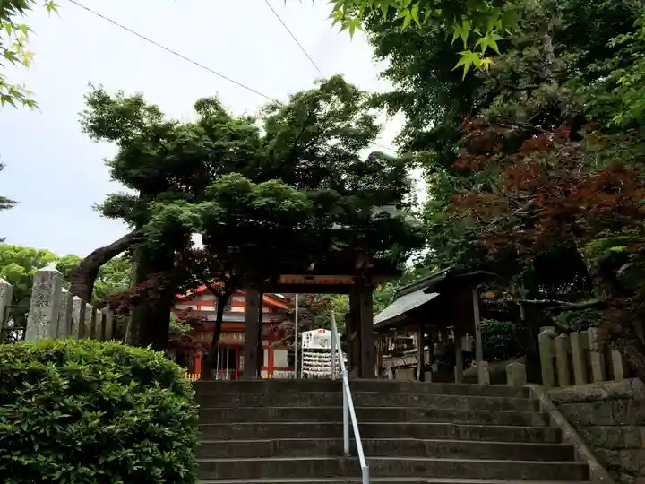 紅葉八幡宮の御朱印