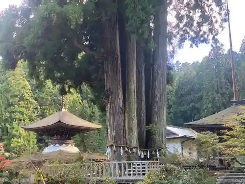 金剛三昧院(和歌山県)