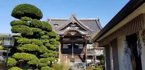 円蔵院の本殿・本堂