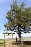 大富神社(北海道)