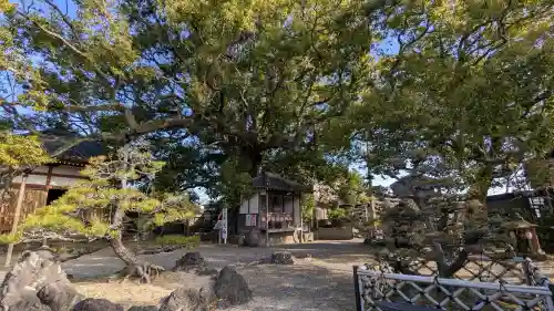 無量寺の{uncategorized: "未分類", other: "その他", undefined: "問題あり", building: "その他建物", grave: "お墓", sacred_gate: "鳥居", guardian: "狛犬", statue: "像", buddha: "仏像", history: "歴史", nature: "自然", garden: "庭園", animal: "動物", pagoda: "塔", temizu: "手水舎", mountain_gate: "山門・神門", sanctuary: "本殿・本堂", subordinate: "末社・摂社", art: "芸術", scenery: "景色", jizo: "地蔵", ema: "絵馬", goshuin: "御朱印", omikuji: "おみくじ", items: "授与品その他", amulet: "お守り", goshuincho: "御朱印帳", eats: "食事", festival: "お祭り", votive_dance: "神楽", shichigosan: "七五三参", wedding: "結婚式", experience: "体験その他", initially: "初詣", around: "周辺", anti_infection: "感染症対策"}