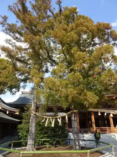 寒川神社(神奈川県)