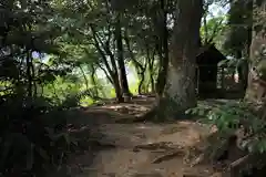 須佐神社の自然