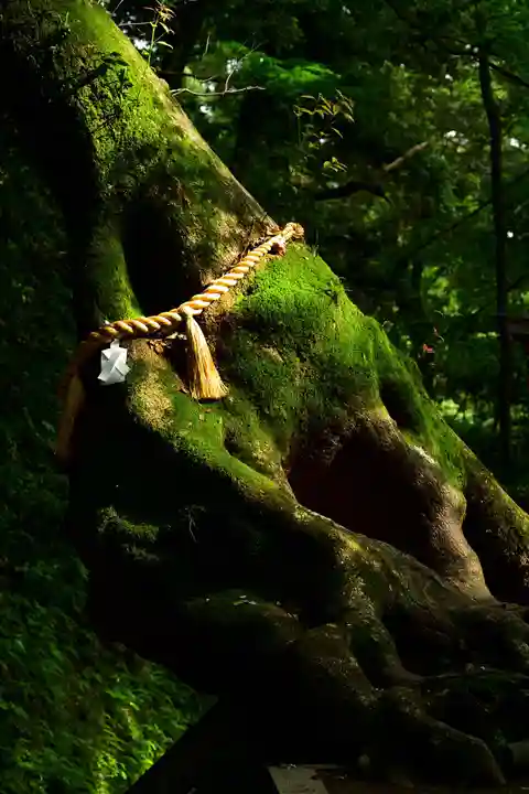 笠森寺(千葉県)