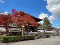 金剛寺(大阪府)