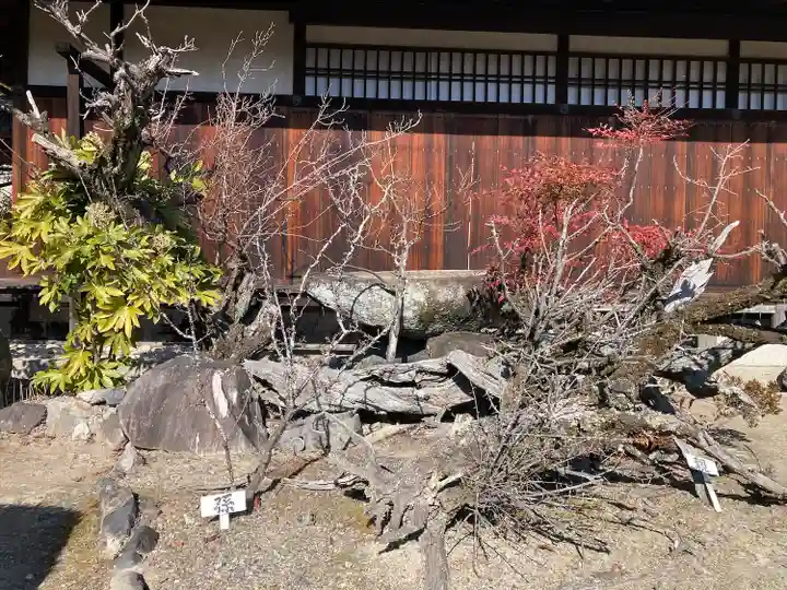 勧修寺(京都府)