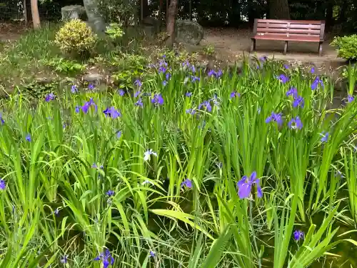 無量寿寺(愛知県)
