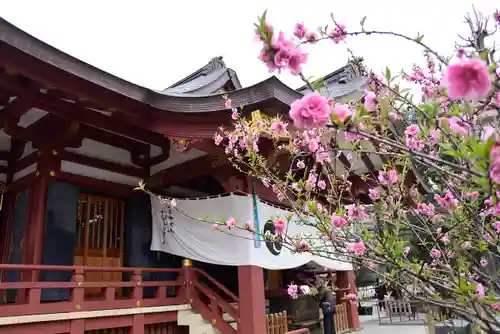 素盞雄神社の本殿・本堂