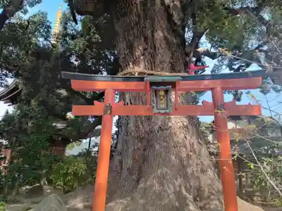 法楽寺(大阪府)