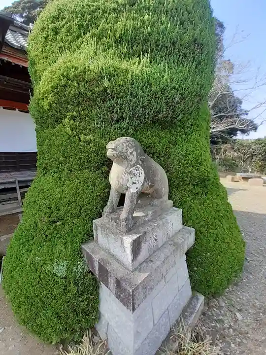 冨士浅間神社の狛犬