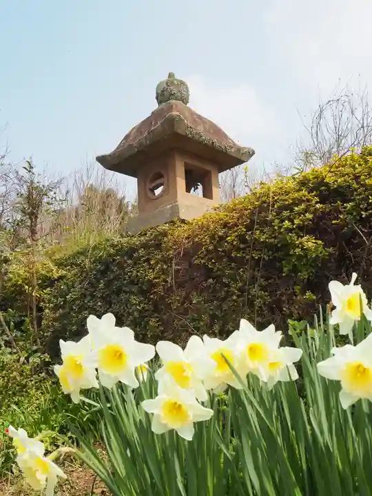 一畑薬師の自然