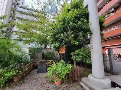 蔵前神社のその他建物