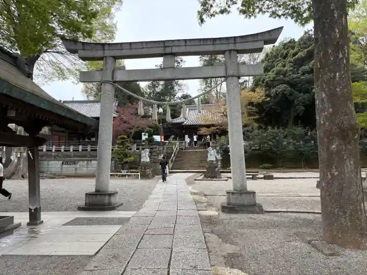 瀧宮神社(埼玉県)