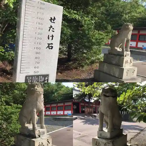 住吉神社の狛犬