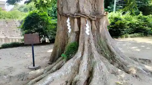 素鵞神社(茨城県)