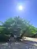 筒井八幡神社(兵庫県)