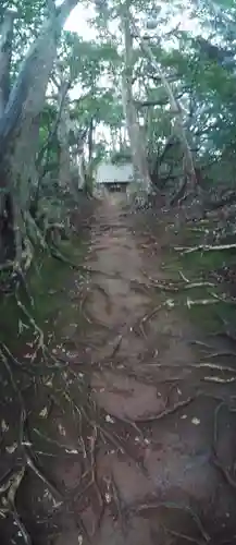 塩釜神社の自然