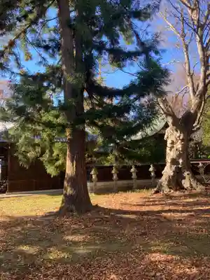 岡宮神社(長野県)