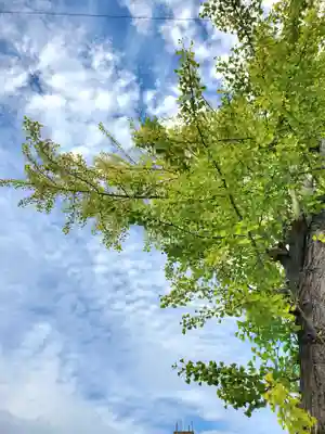 阿邪訶根神社(福島県)