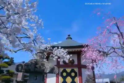 常在寺の自然