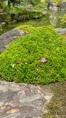 城南宮(京都府)