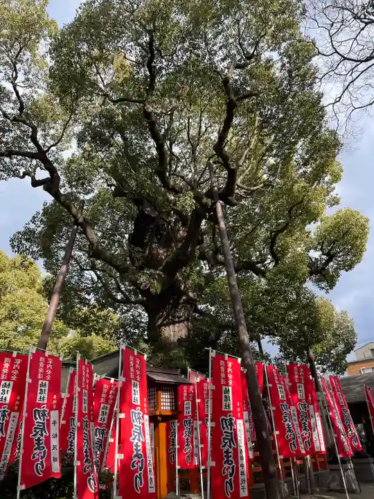 楠珺社(住吉大社末社)(大阪府)