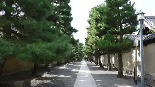 大徳寺の建物その他