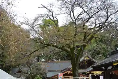 出雲大社相模分祠(神奈川県)